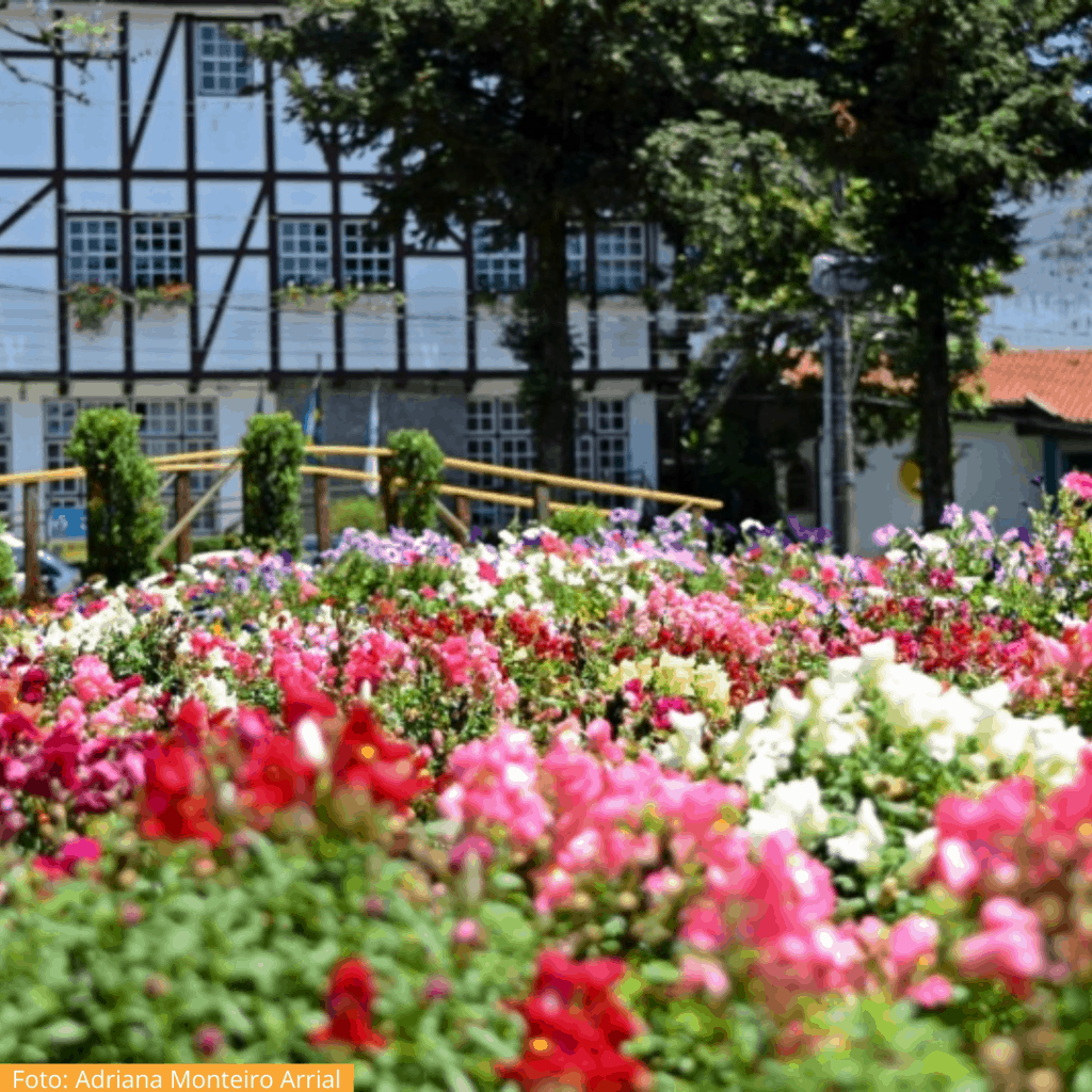Praça das Flores