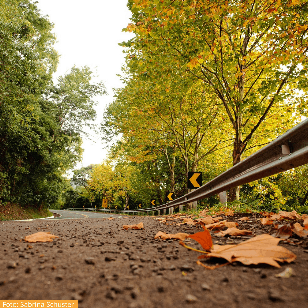 Estrada Rota Romântica