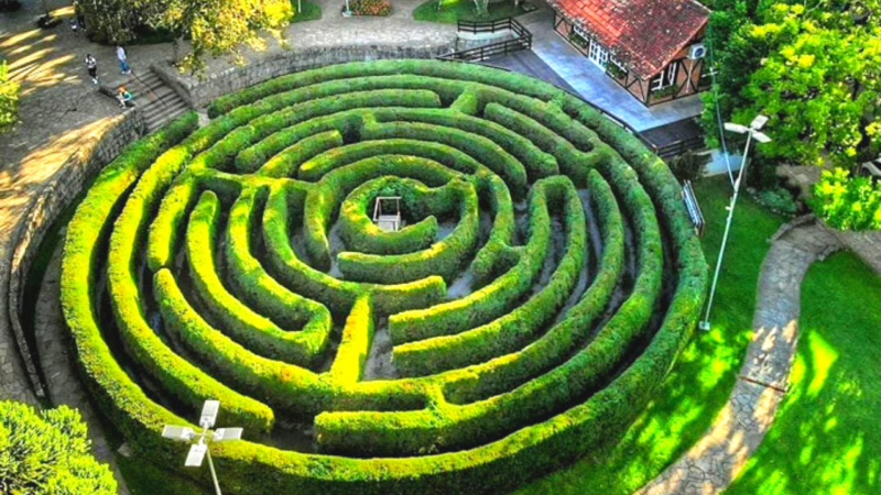 Labirinto Verde: Uma aventura para os visitantes de Nova Petrópolis