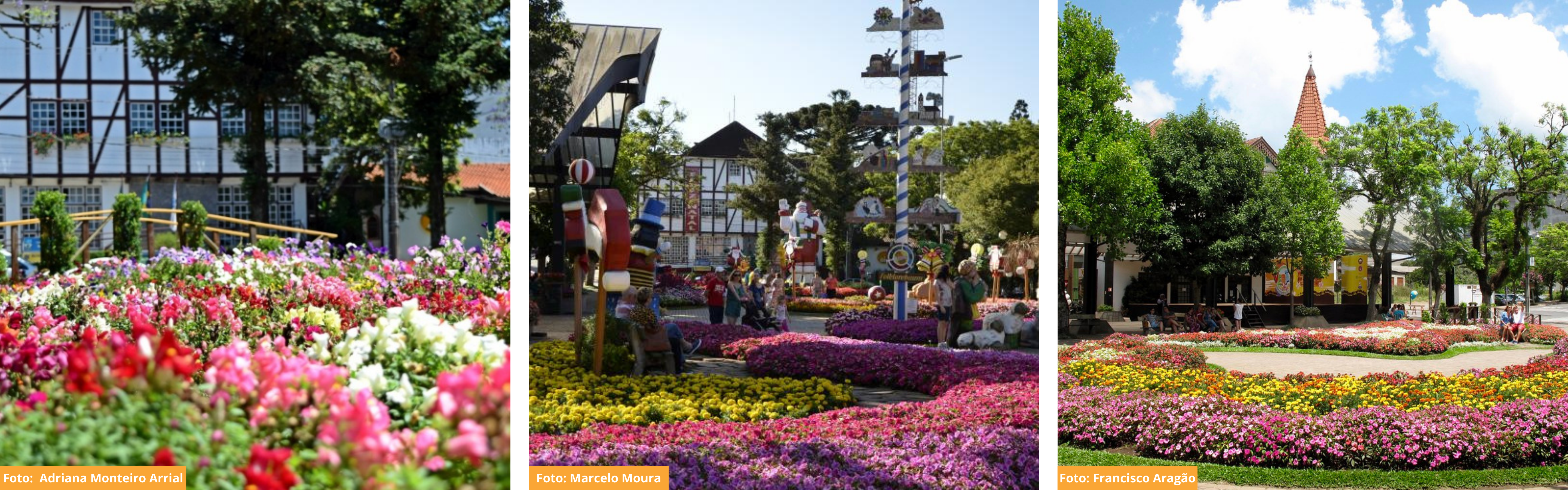 Imagem Praça das Flores