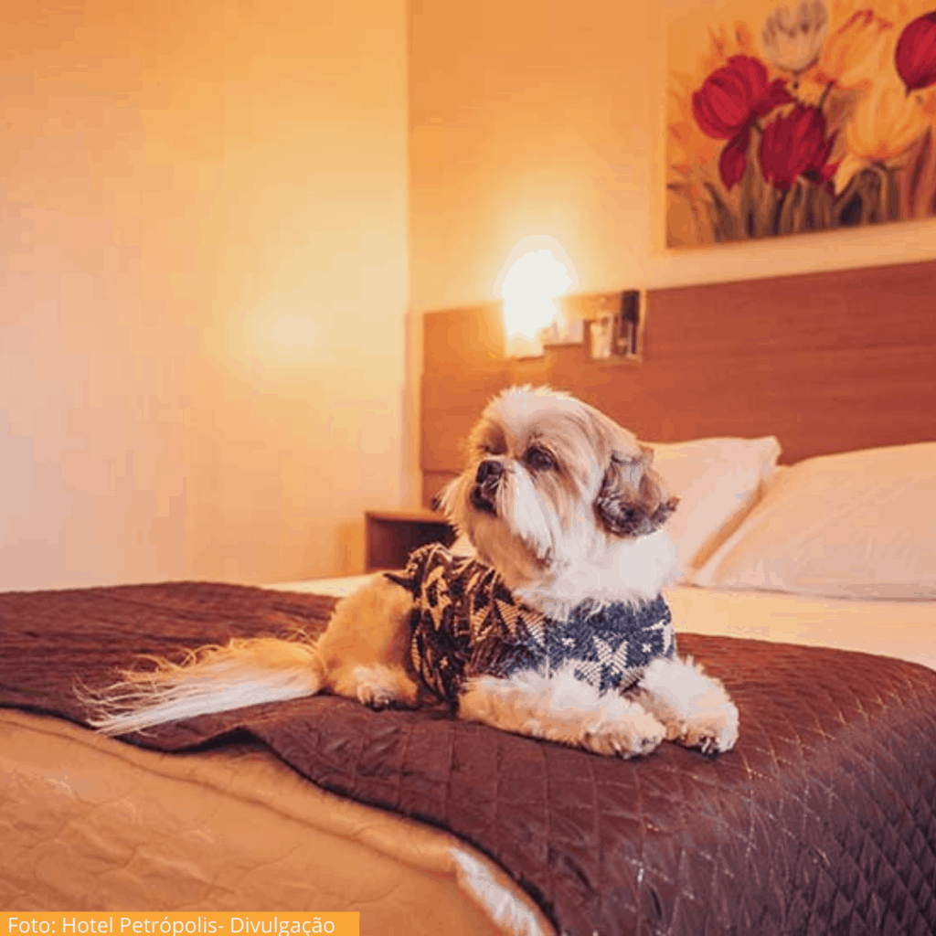 Hotel Petrópolis Pet Friendly