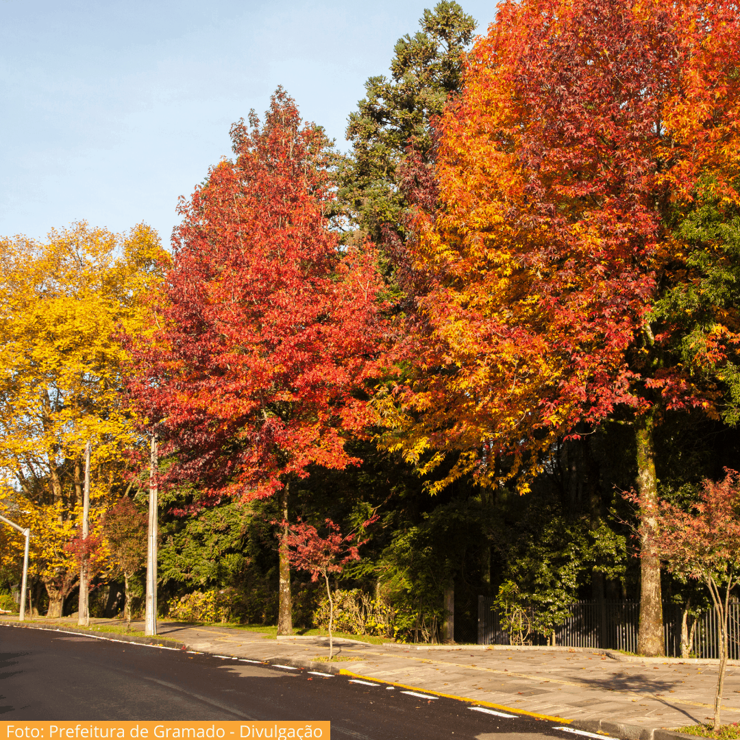 Gramado