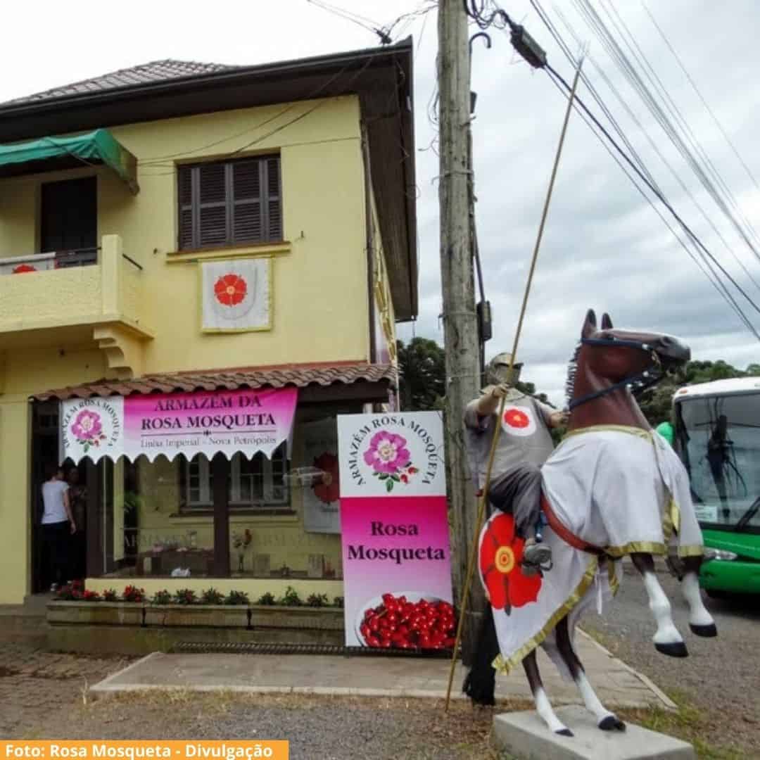 Rosa Mosqueta Nova Petrópolis