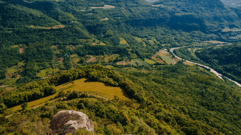 Caminhos Germânicos: Uma conexão com a natureza no interior de Nova Petrópolis