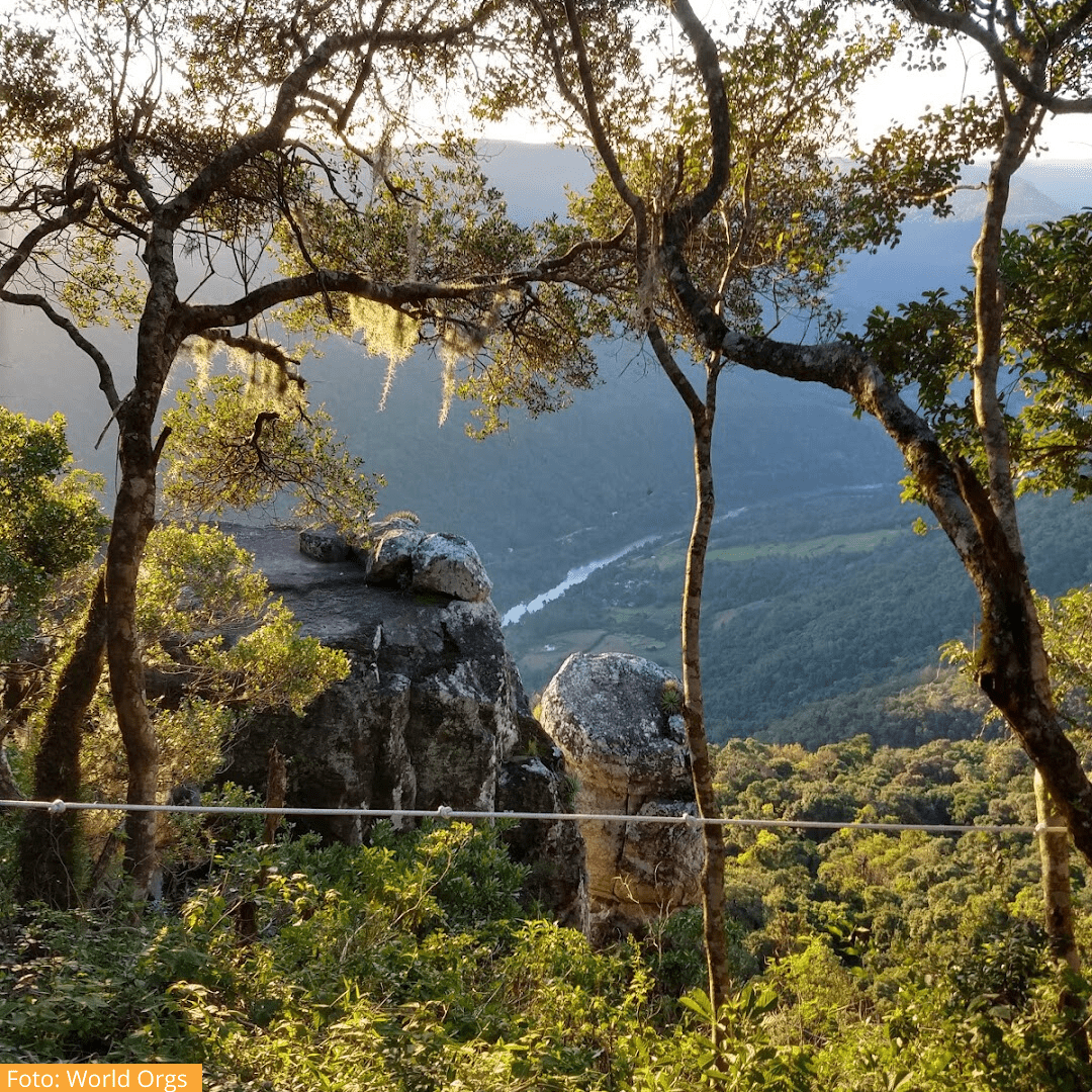 Como viver as experiências do Monte Malakoff