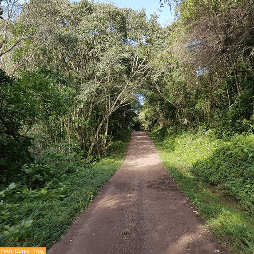 Como viver as experiências do Monte Malakoff