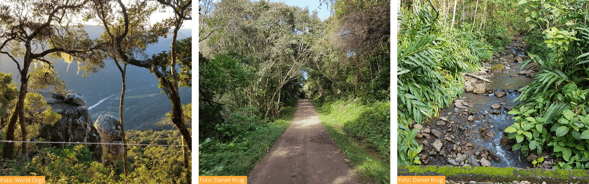 Como viver as experiências do Monte Malakoff