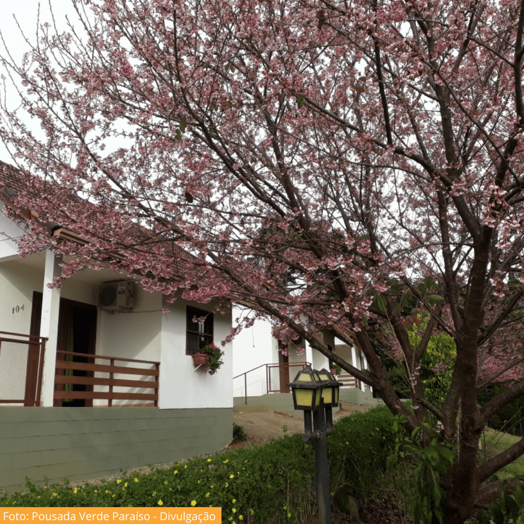 Propriedade Rural e Pousada Verde Paraíso