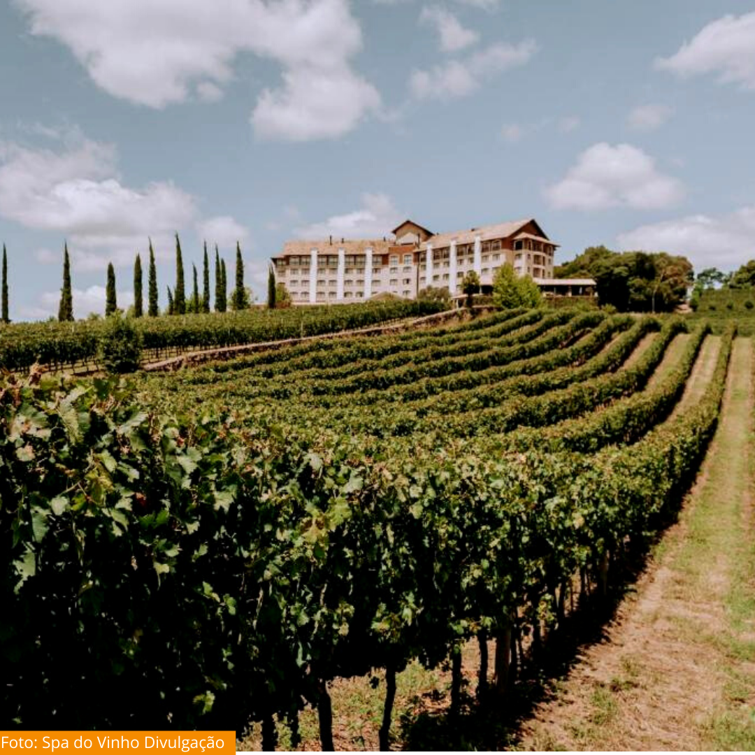 A presença do vinho na Serra Gaúcha