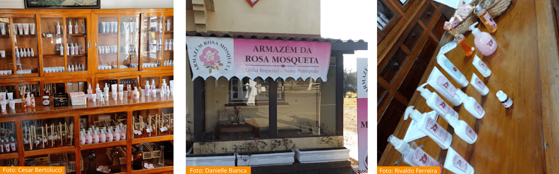 Armazém Rosa Mosqueta